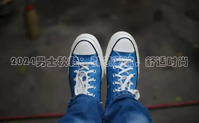 8868网站登录入口京东2024男士秋鞋：引领潮流，舒适时尚