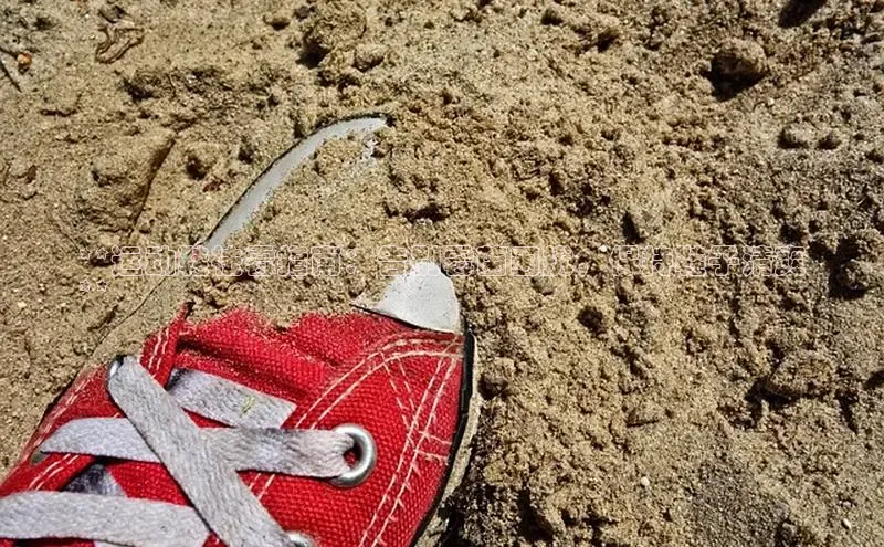 8868网页在线登录百度网盘**运动鞋祛霉指南：告别霉菌困扰，保持鞋子清爽
**