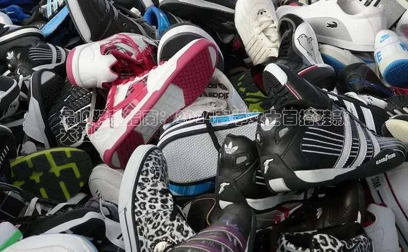 8868游戏交易平台官网百度翻译App最IN鞋款指南：2024春季女士百搭鞋款
大搜罗