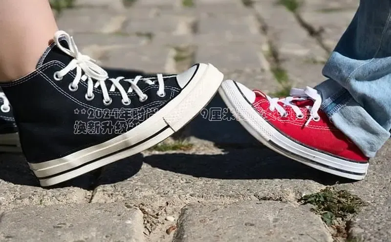 8868体育官方入口字节跳动**2024年时尚宣言：9厘米高跟女士鞋款
焕新升级**