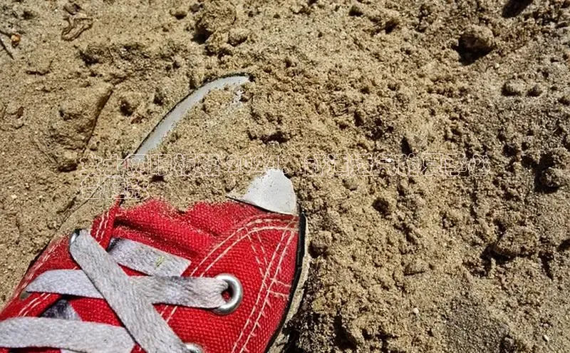 8868体育app官方网站百度Apollo女士网眼板鞋 2024：舒适透气的夏季必
备鞋款