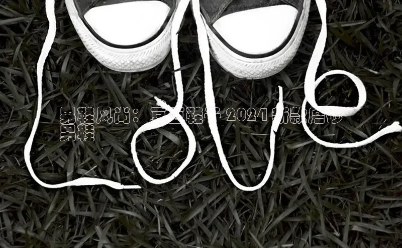 8868体育官方app下载百度游戏开放平台男鞋风尚：豆豆鞋子 2024 新款磨砂
男鞋