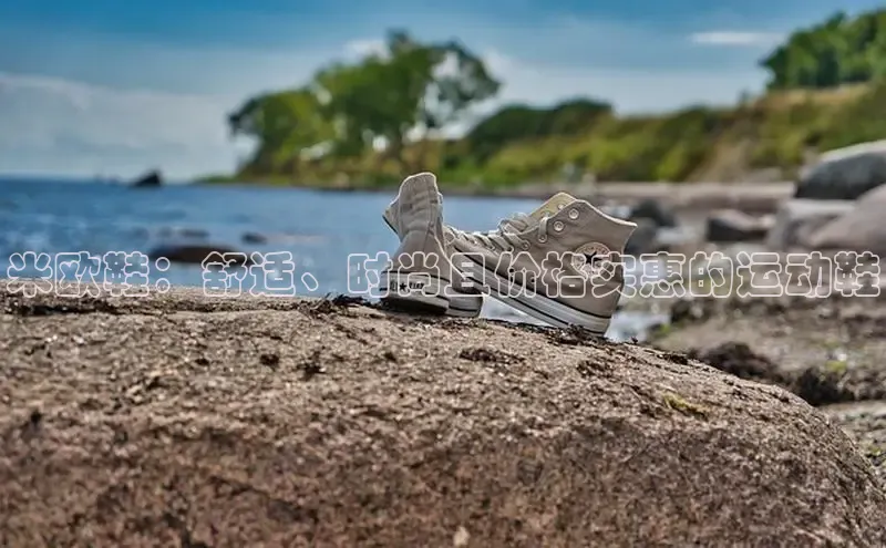 8868在线官网登录入口百度学术米欧鞋：舒适、时尚且价格实惠的运动鞋