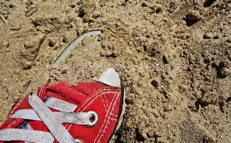 8688体育官方入口猫眼**2024 年夏季最热销的男士鞋子：必备
款式指南**