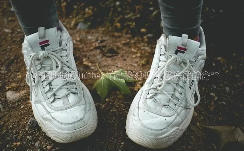 8868体育下载app小度商城**全黑运动鞋 Nike：舒适性和风格的完美结合**