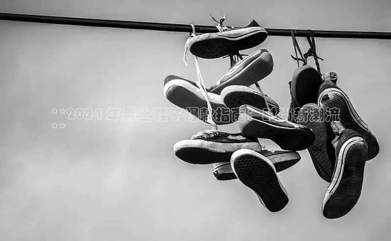 8868官网登录入口百家号**2024 年男士鞋子爆款指南：时尚新潮流
**