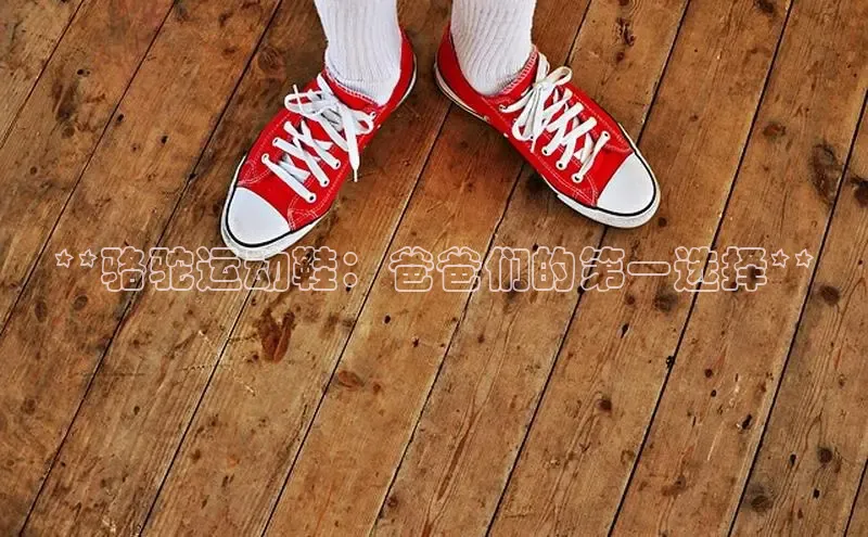 8868体育官网百度技术学院**骆驼运动鞋：爸爸们的第一选择**