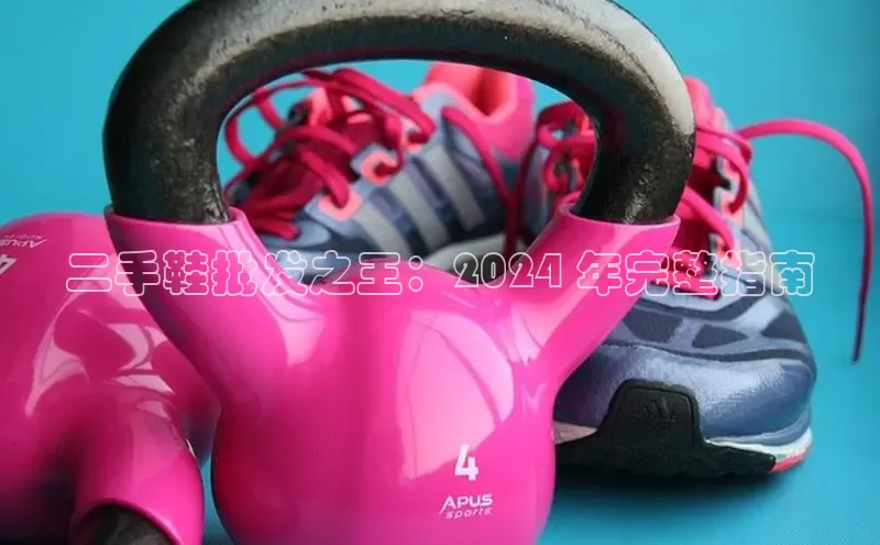 8868体育官方网页版雷柏科技二手鞋批发之王：2024 年完整指南