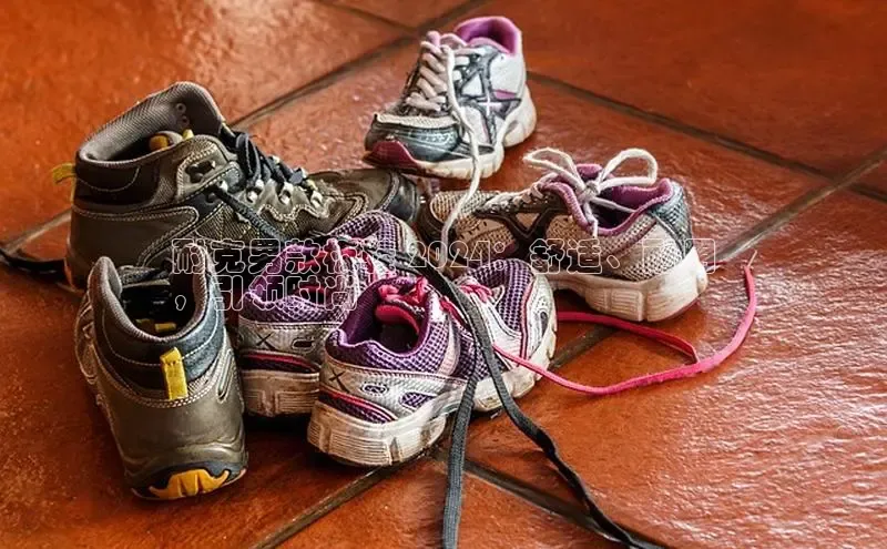 8868体育官网平台网易耐克男款板鞋 2024：舒适、耐用
，引领时尚