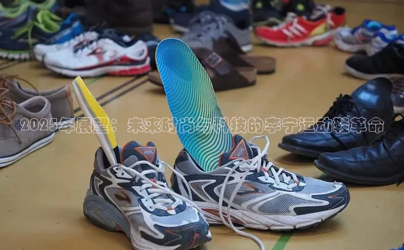 8688体育官方入口百度信誉2025年展望：未来时尚与科技的李宁运动鞋革命