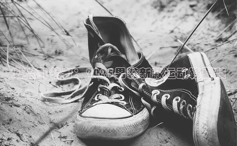 潮流引领者：2025男鞋新款运动鞋夏装
