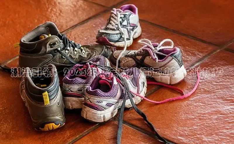 8868体育网页版入口