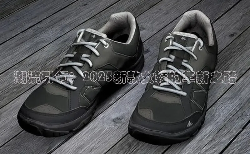 8868体育在线官网