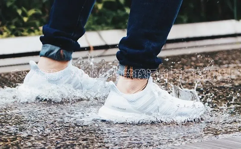 8868体育集团官网