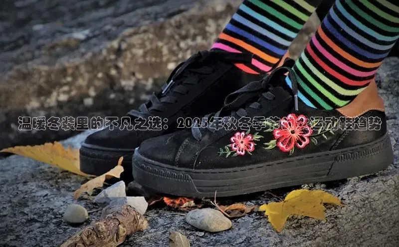 8688体育官方入口